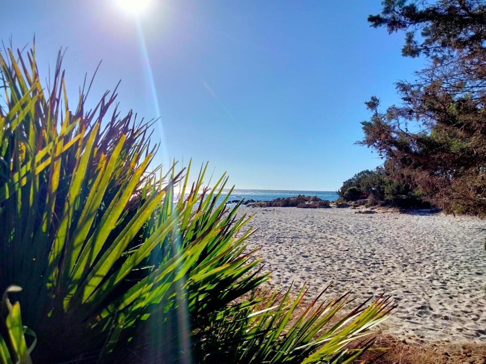 Zenour Βίλα Cala Liberotto Εξωτερικό φωτογραφία